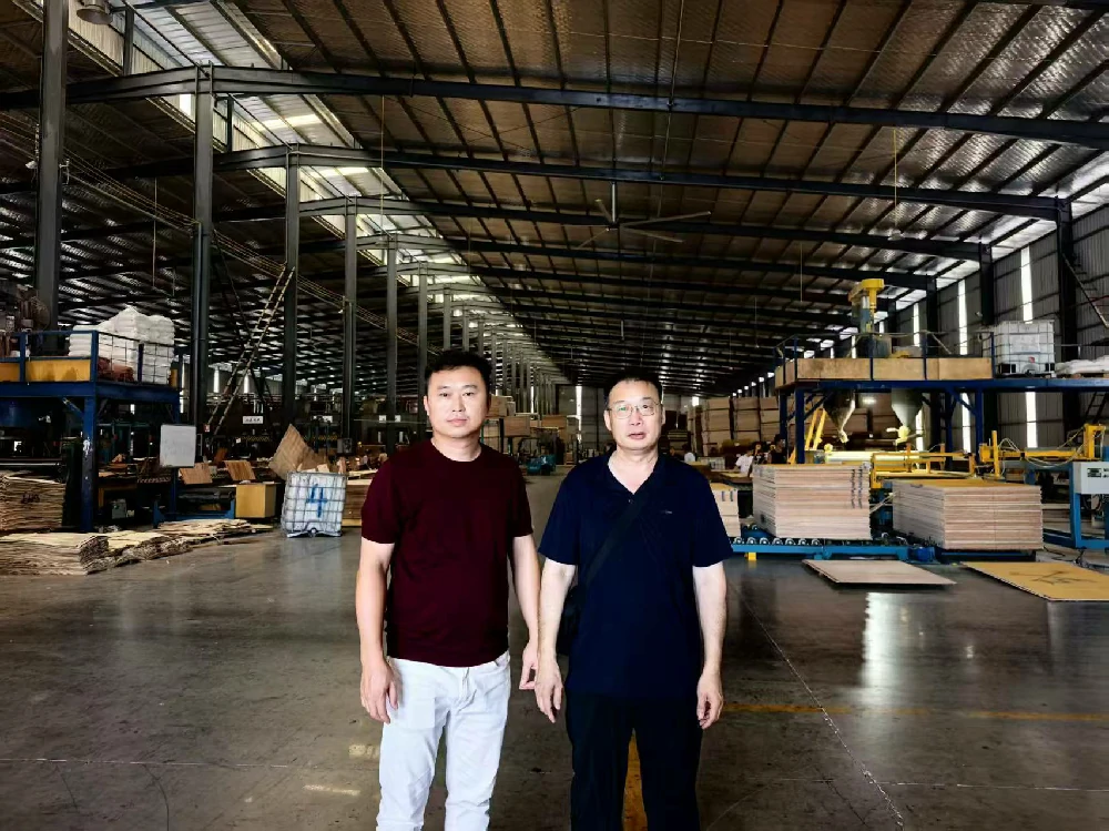 A photo of two men inside a plywood manufacturing facility.